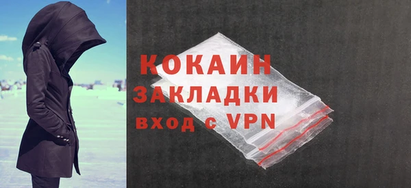 дживик Бронницы