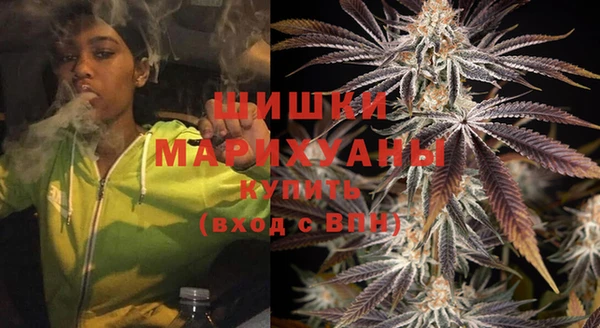 дживик Бронницы