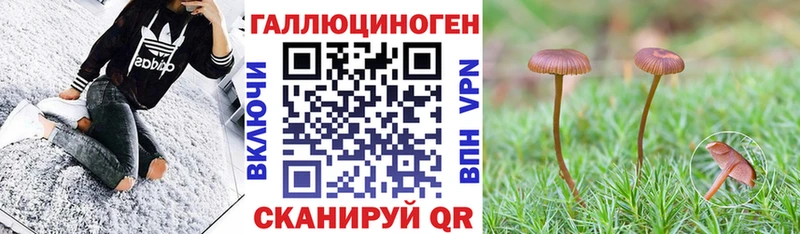 купить наркоту  Нурлат  Псилоцибиновые грибы Psilocybe 