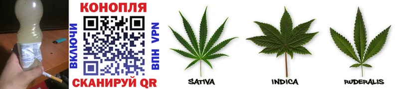 Бошки марихуана OG Kush  Нурлат 